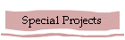 Special Projects